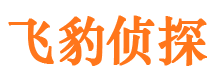 长白侦探公司